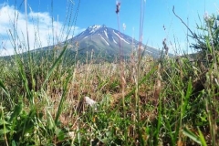 Little Ararat (3,896 masl), Turkey