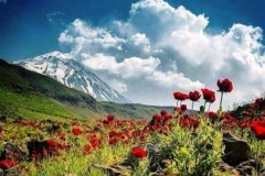Mt.Damawand (5,610 masl), Iran