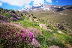 Mt.Damawand (5,610 masl), Iran