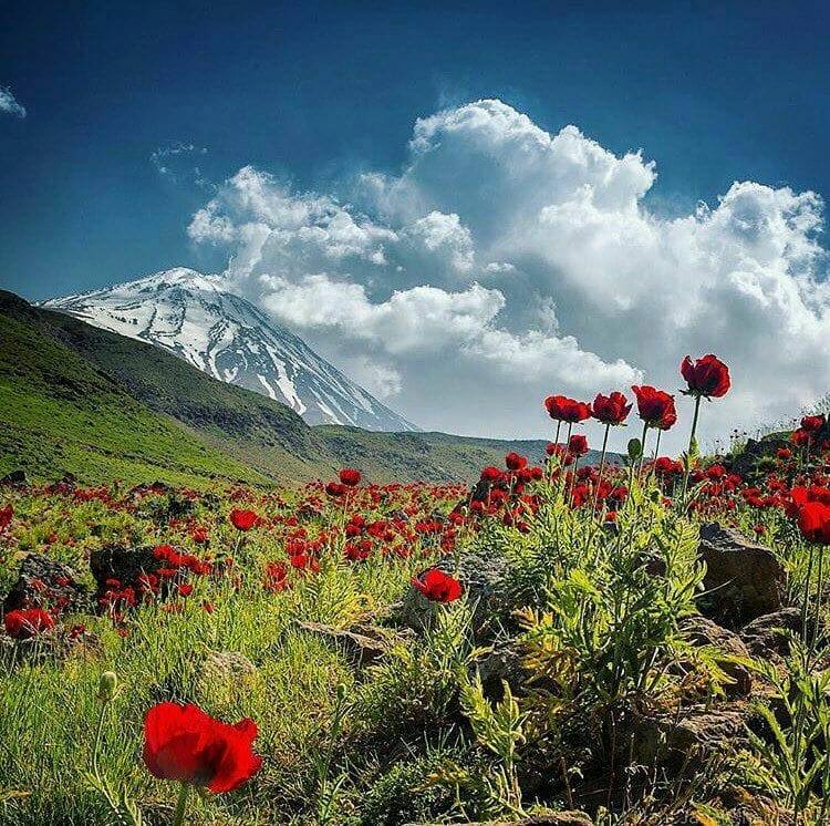 Mount Damawand Trekking (Iran) - 7 Days 